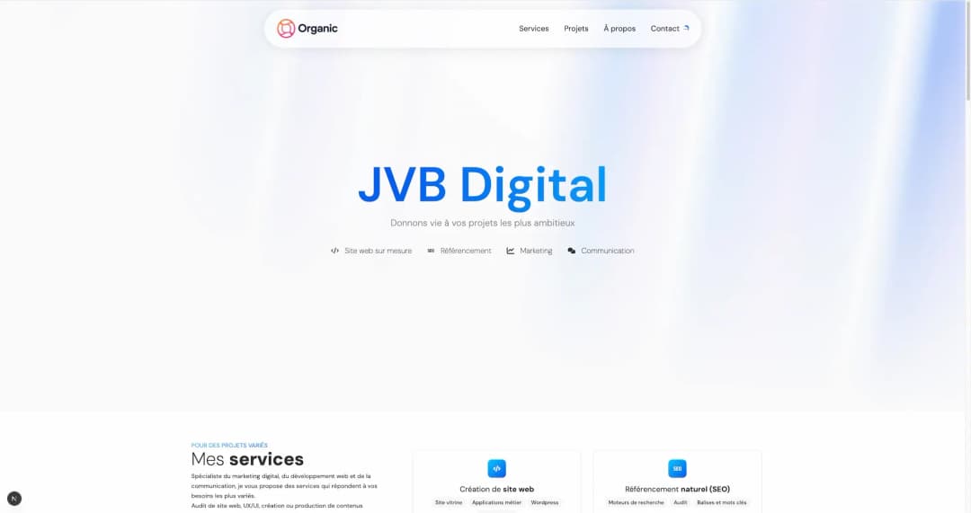 Site web de Joan Vandenbulcke